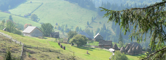 paysage Roumanie